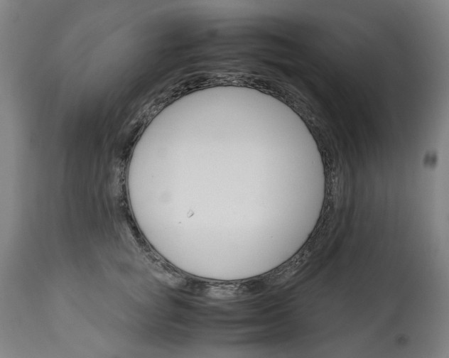 X0000113250757200909241611