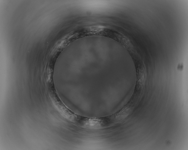 X0000113250758200909241611