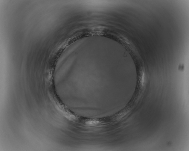 X0000113250759200909241611