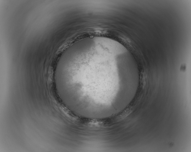 X0000113250760200909241611