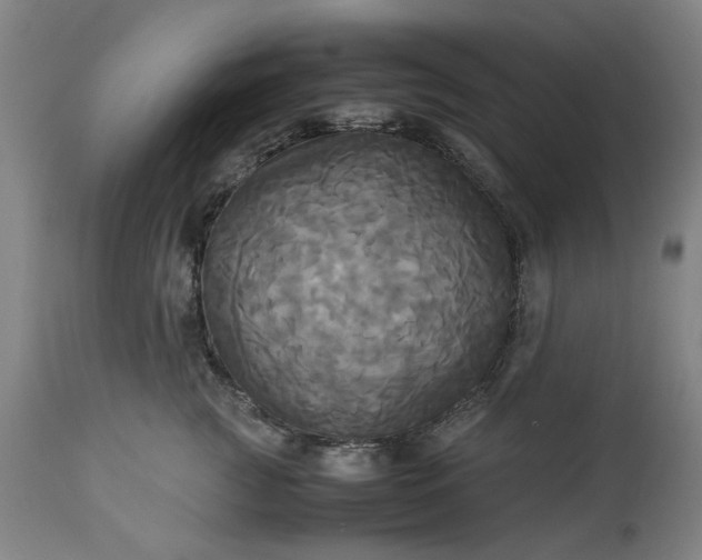 X0000113250761200909241611