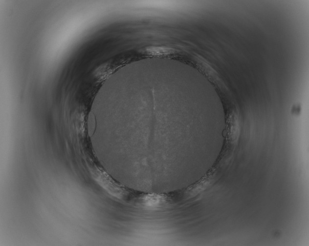 X0000113250762200909241611