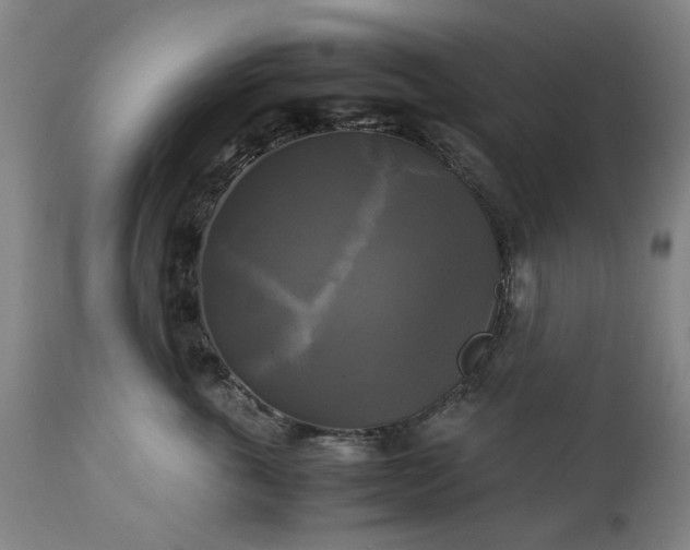 X0000113250763200909241611