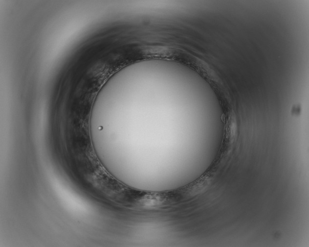 X0000113250764200909241611