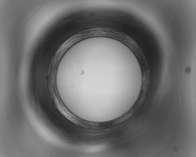 X0000113250765200909241611