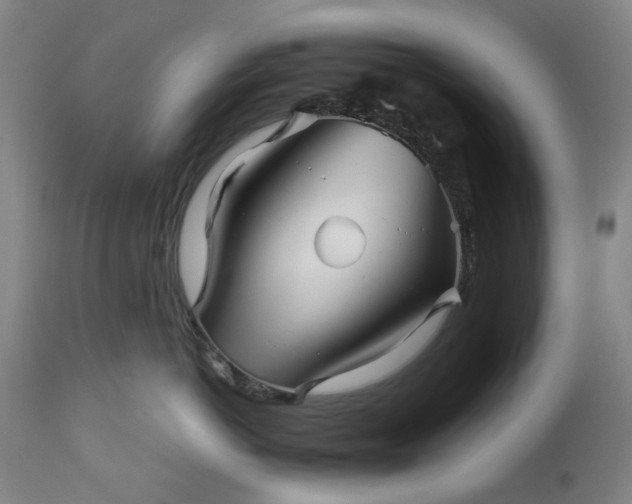 X0000113250766200909241611