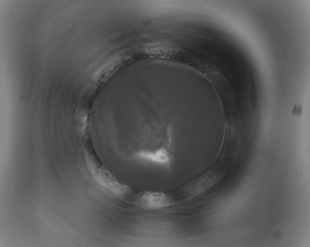 X0000113250767200909241611