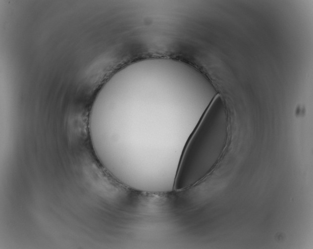 X0000113250768200909241611