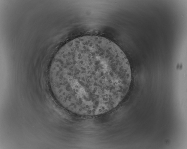 X0000113250769200909241611