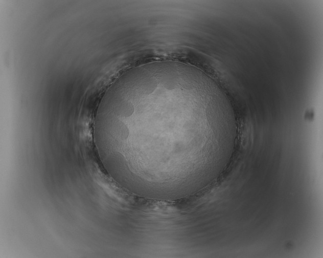 X0000113250770200909241611