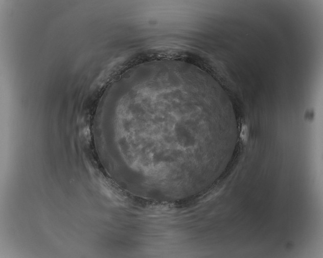 X0000113250771200909241611