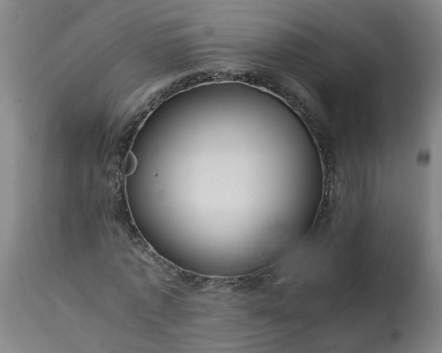 X0000113250773200909241611