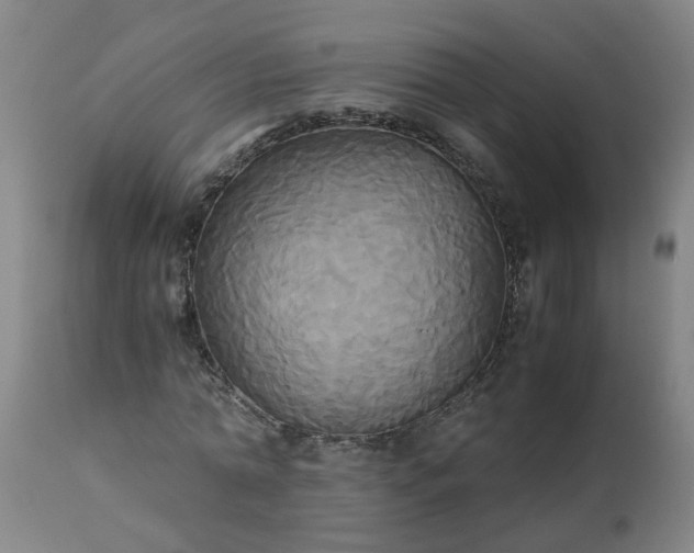 X0000113250774200909241611