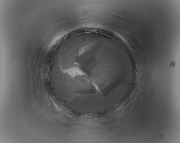 X0000113250775200909241611