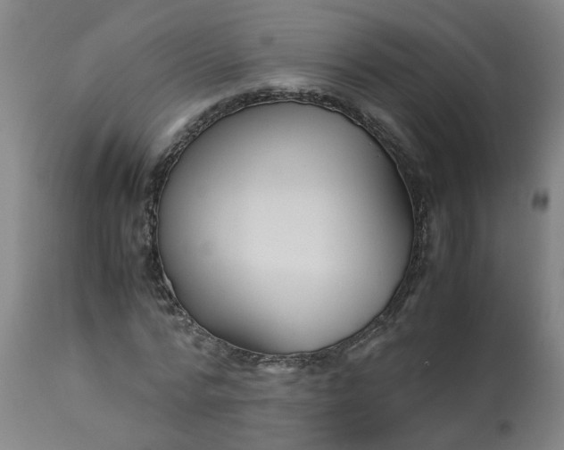 X0000113250776200909241611