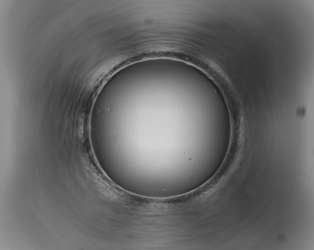 X0000113250777200909241611