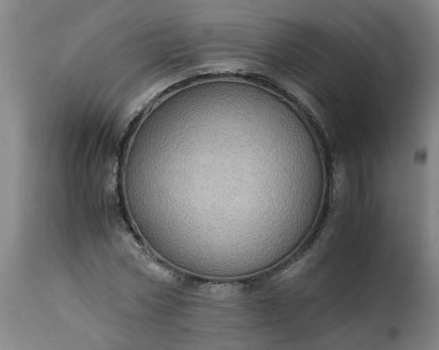 X0000113250778200909241610