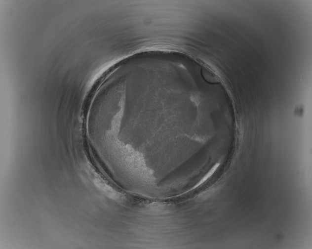 X0000113250779200909241610