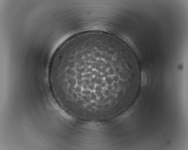 X0000113250780200909241610