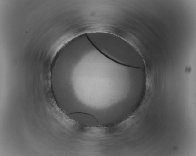 X0000113250781200909241610