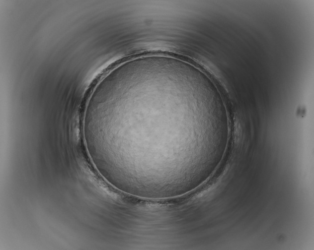 X0000113250782200909241610