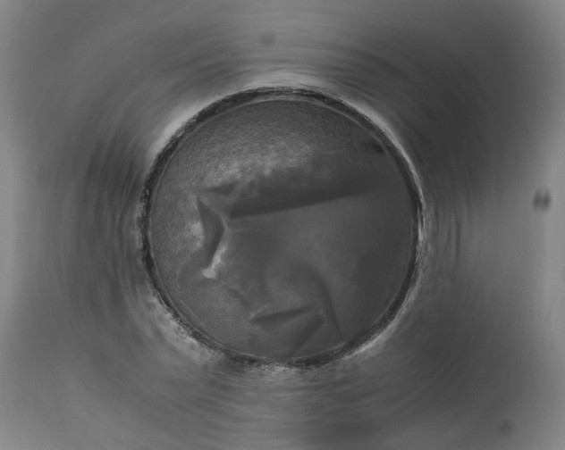 X0000113250783200909241610