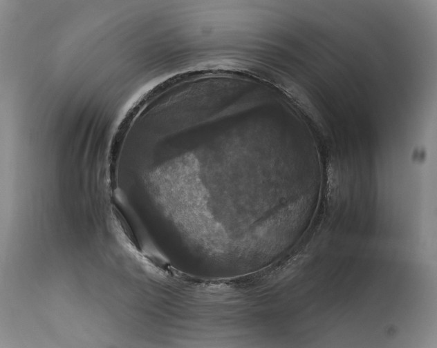 X0000113250784200909241610