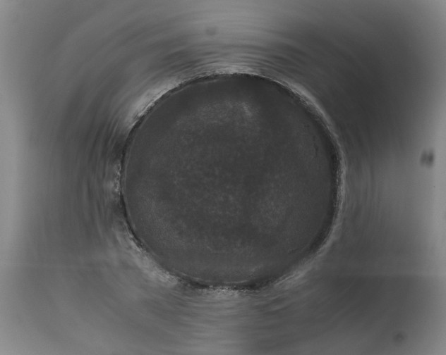 X0000113250785200909241610