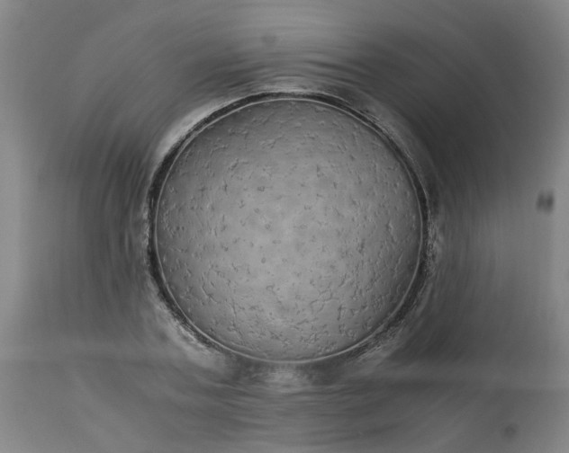 X0000113250787200909241610