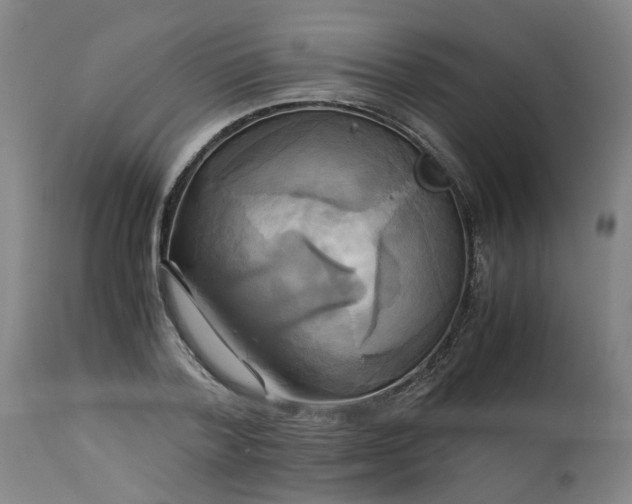 X0000113250788200909241610