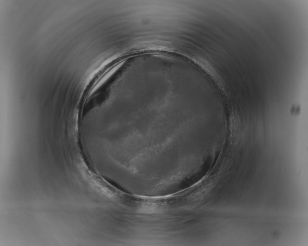 X0000113250790200909241610