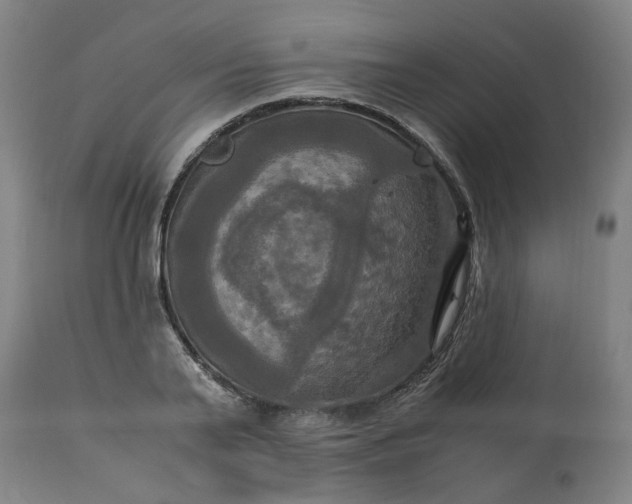 X0000113250791200909241610