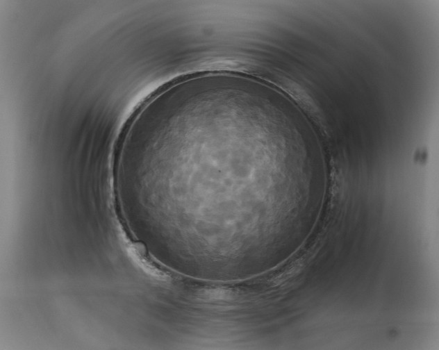 X0000113250792200909241610