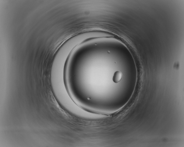 X0000113250793200909241610