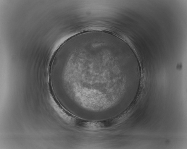 X0000113250795200909241610