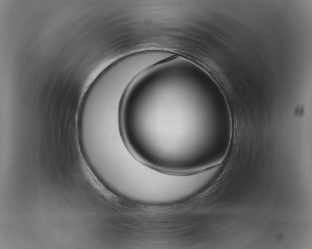 X0000113250796200909241610