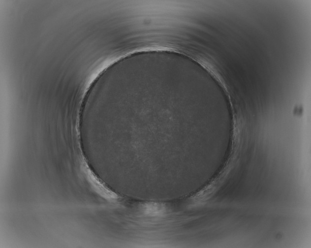 X0000113250797200909241610