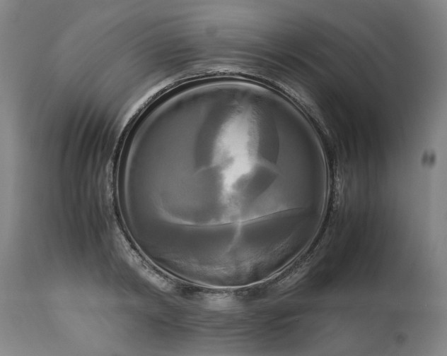 X0000113250798200909241610