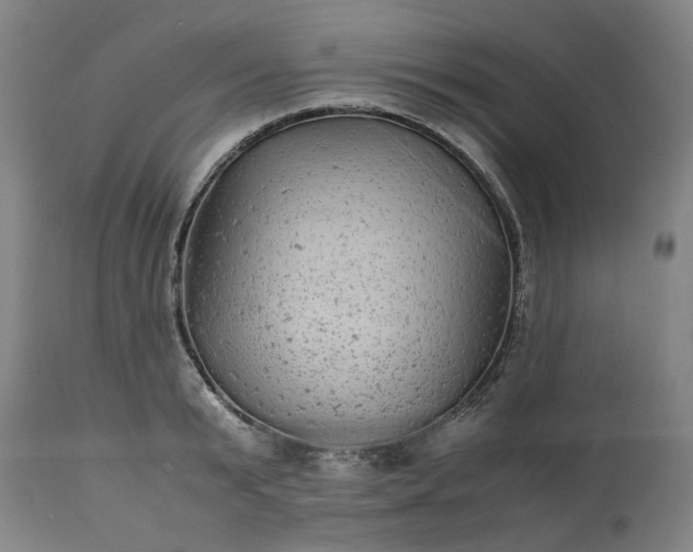 X0000113250799200909241610