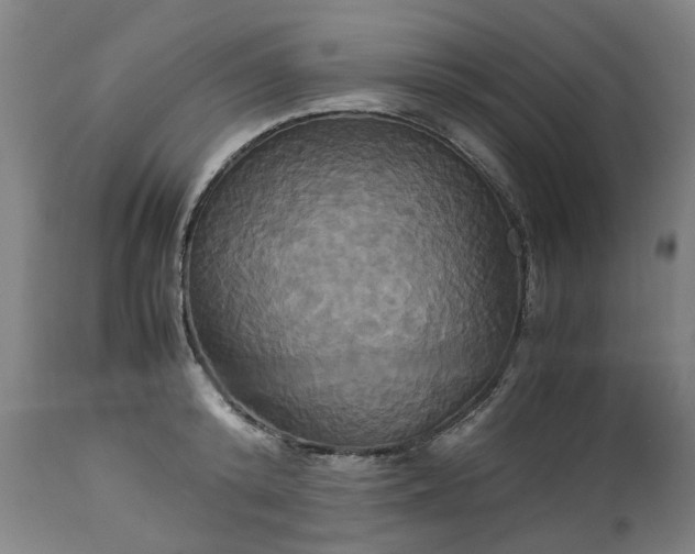 X0000113250800200909241610