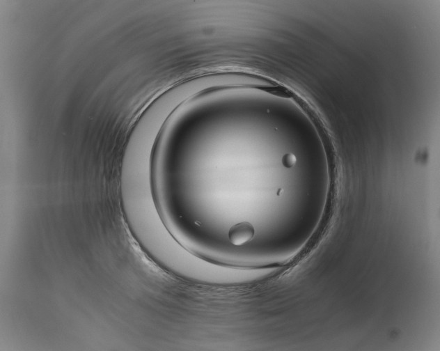 X0000113250801200909241610