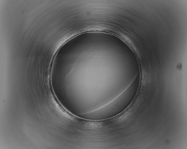 X0000113250802200909241610