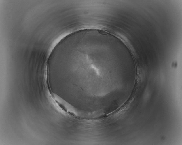 X0000113250804200909241610