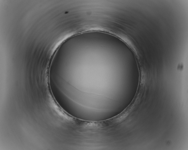 X0000113250806200909241610