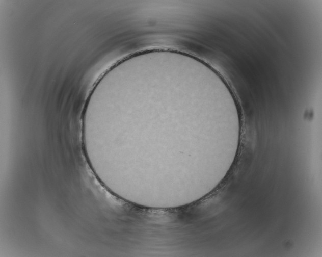 X0000113250807200909241610