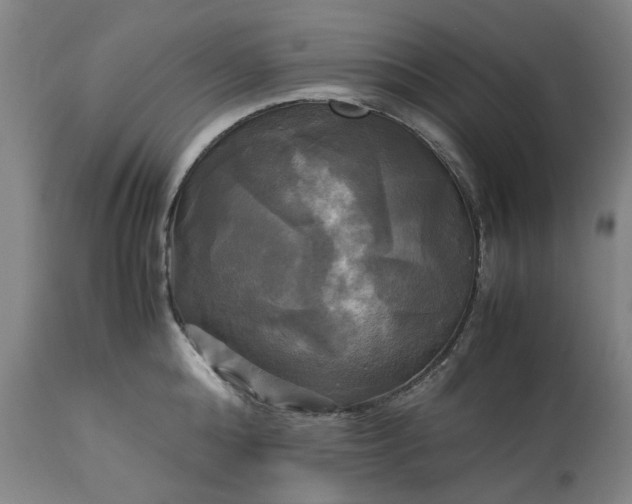 X0000113250808200909241610