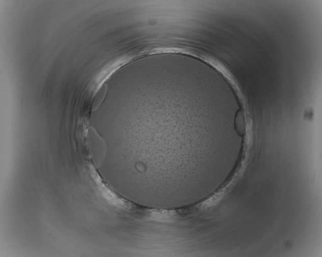 X0000113250809200909241610