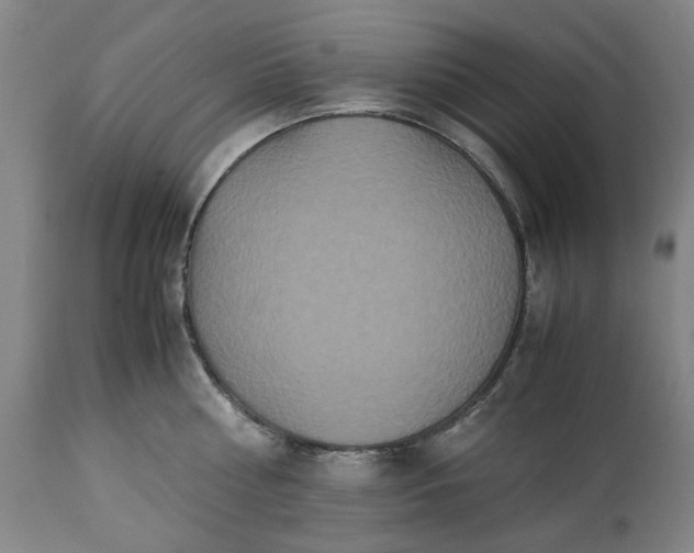 X0000113250810200909241610