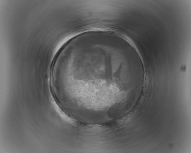 X0000113250811200909241610