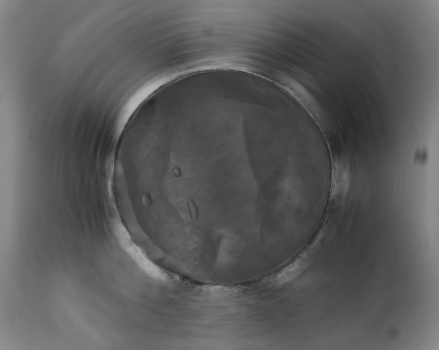 X0000113250812200909241610